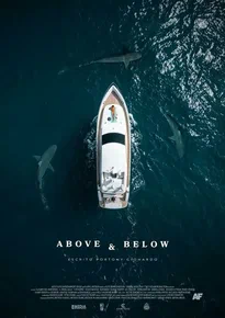 Above the Below постер